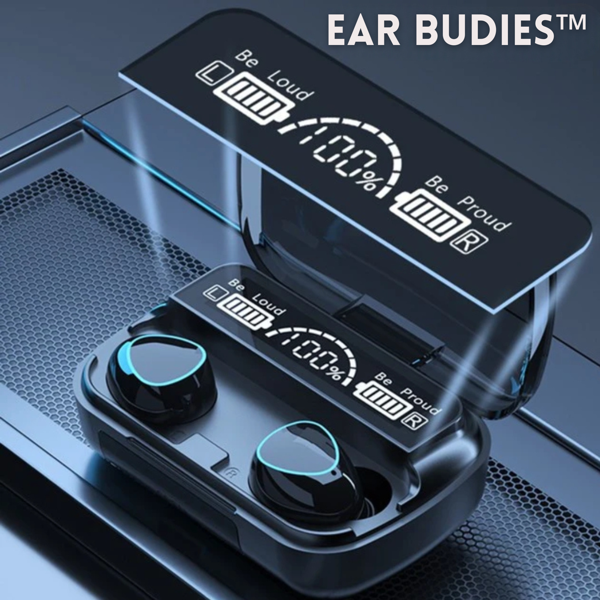 Ear Budies™ 2-in-1 oordopjes met oplaadhoes